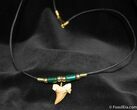 Fossil Shark Tooth Necklace #608-1